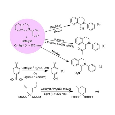 Organic Boronic Acids & Esters