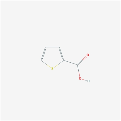 Thiophene-2-carboxylic acid