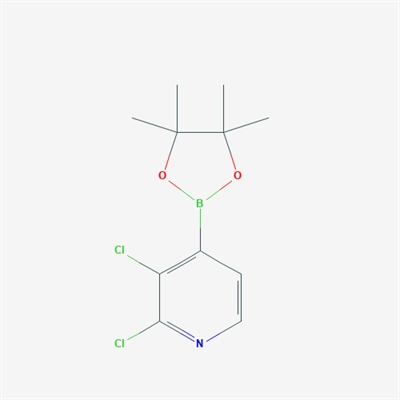 2,3-Dichloro-4-(4,4,5,5-tetramethyl-1,3,2-dioxaborolan-2-yl)pyridine