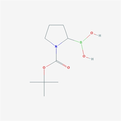 1-N-Boc-Pyrrolidin-2-ylboronic acid
