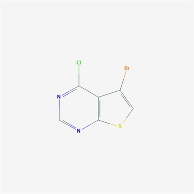 5-Bromo-4-chlorothieno[2,3-d]pyrimidine